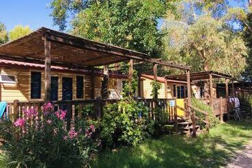 هتل Camping Campo Al Fico