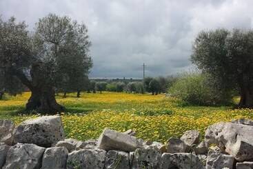 پانسیون Masseria Dell 800