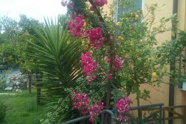 تختخواب و صبحانه Bellavista