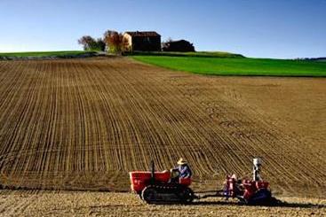 Country House  La Tana Della Lepre