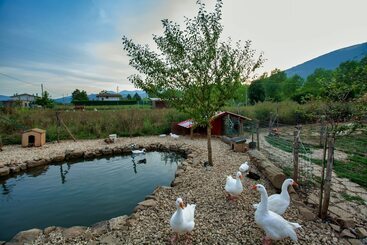 هتل روستایی Il Vecchio Pollaio