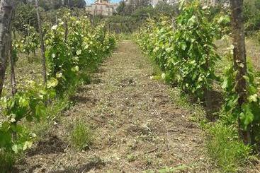 Agriturismo La Magione Del Capitano