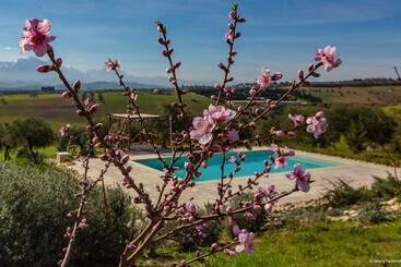پانسیون B&b Torre Dell Angelo