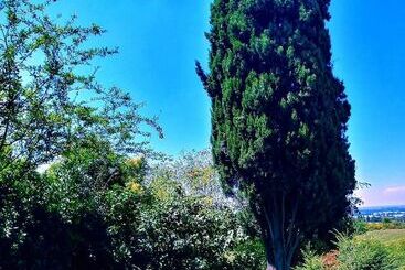 تختخواب و صبحانه Galluzzo Ancient Country Villa