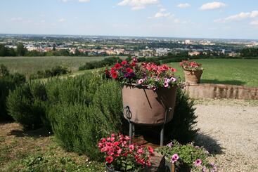 تختخواب و صبحانه Galluzzo Ancient Country Villa