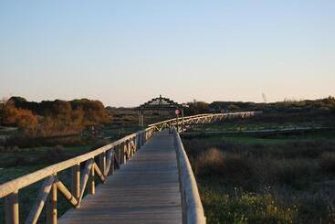 ホテル Rompeolas Playa