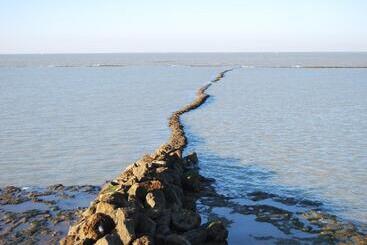 ホテル Rompeolas Playa
