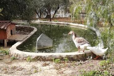هتل روستایی Agriturismo Green House