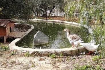 هتل روستایی Agriturismo Green House