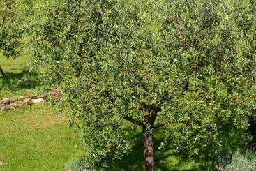 هتل روستایی Agriturismo Al Podere Di Rosa