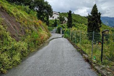 Sally S B&b