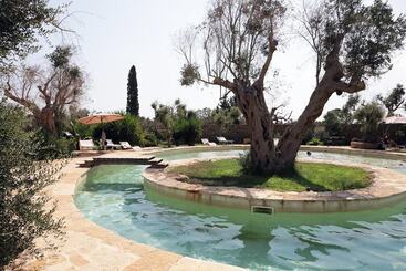 تختخواب و صبحانه Masseria Caretti Grande