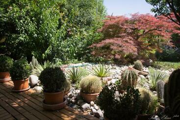 تختخواب و صبحانه Teapot House