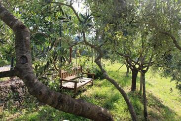 Agriturismo Angio Nel Cere