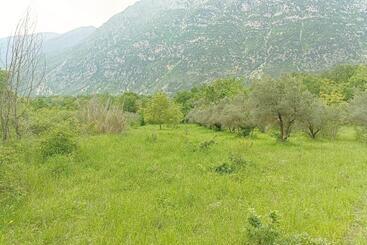 تختخواب و صبحانه Fattoria La Tana Della Volpe