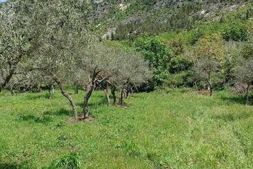 تختخواب و صبحانه Fattoria La Tana Della Volpe