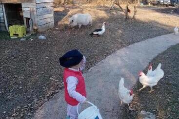 تختخواب و صبحانه Fattoria La Tana Della Volpe