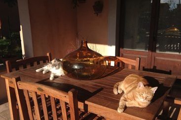 تختخواب و صبحانه Casa De  Trinci