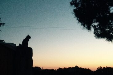 هتل روستایی Masseria Fanizzi