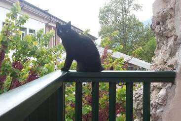 B&b Al Gatto Nero
