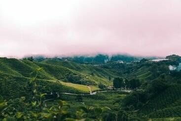 Heritage Hotel Cameron Highlands