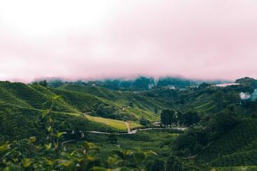 Heritage Hotel Cameron Highlands