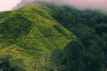 Heritage Hotel Cameron Highlands