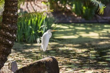 Oaks Sunshine Coast Oasis Resort