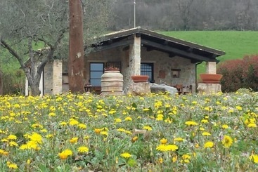 هتل روستایی Poggio Al Vento