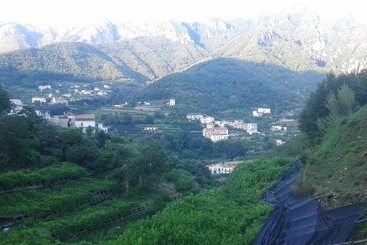 پانسیون Villa Bianca