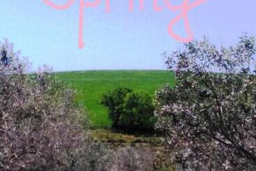 هتل روستایی Il Cantiniere