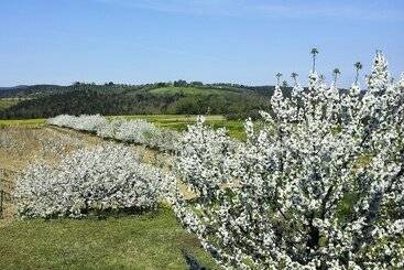 هتل روستایی Il Giardino Dei Ciliegi