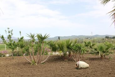 צימר Villa Delle Palme Delfina