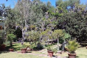 B&b Su Narboni Mannu E4247