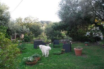B&b Su Narboni Mannu E4247