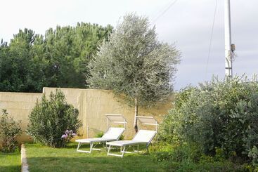 Avion B&b