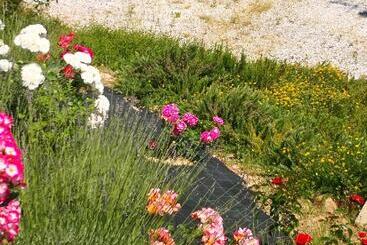 هتل روستایی Agriturismo I Colli