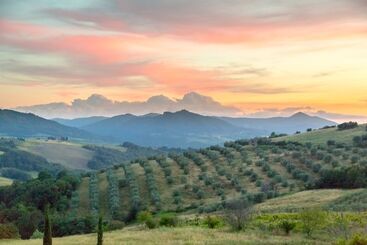 هتل روستایی Agriturismo San Tommaso