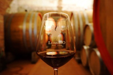 هتل روستایی Fattoria Lornano Winery