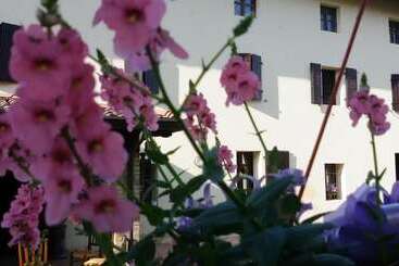 تختخواب و صبحانه Fiori Di Maggio