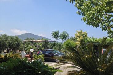 B&b Belvedere