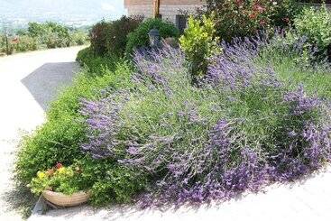 تختخواب و صبحانه La Collina Del Sagrantino