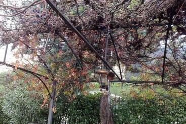 تختخواب و صبحانه Villa Stefy
