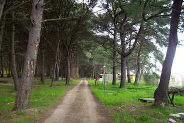 هتل Club Villaggio Magic Garden   Campground