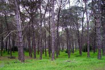 هتل Club Villaggio Magic Garden   Campground