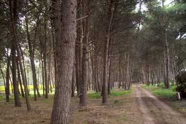 هتل Club Villaggio Magic Garden   Campground