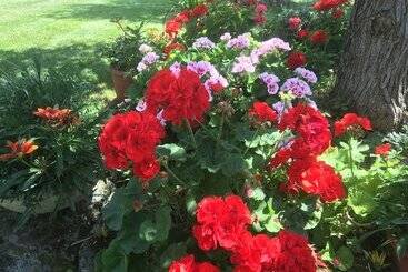 استراحتگاه Il Girasole Country Village