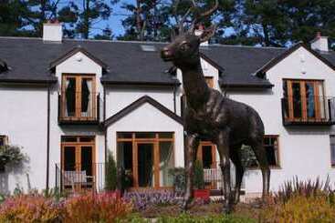 هتل The Atholl Palace