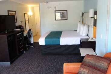 هتل Best Western Plus Orlando Lake Buena Vista South Inn & Suites