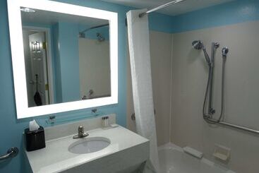 هتل Best Western Plus Orlando Lake Buena Vista South Inn & Suites